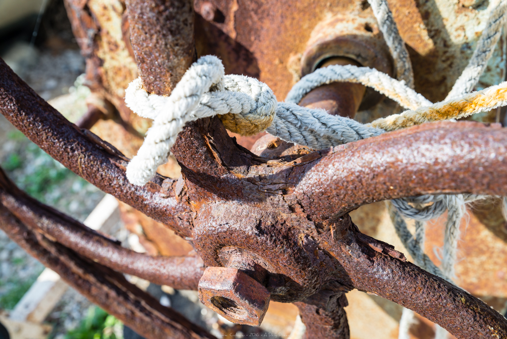 Photo de roues crantées, pour le projet "Rouille".