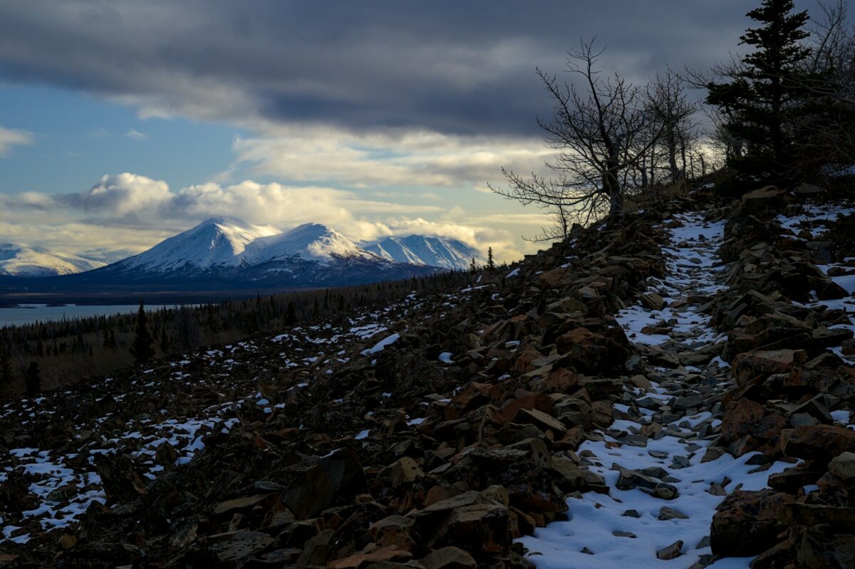 Montagnes et espaces sauvages à perte de vue au parc Kluane