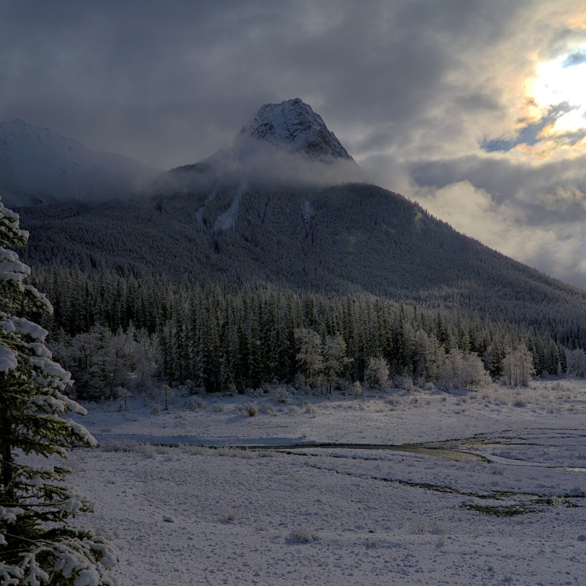 Paysage dans la région des lacs du parc national Jasper