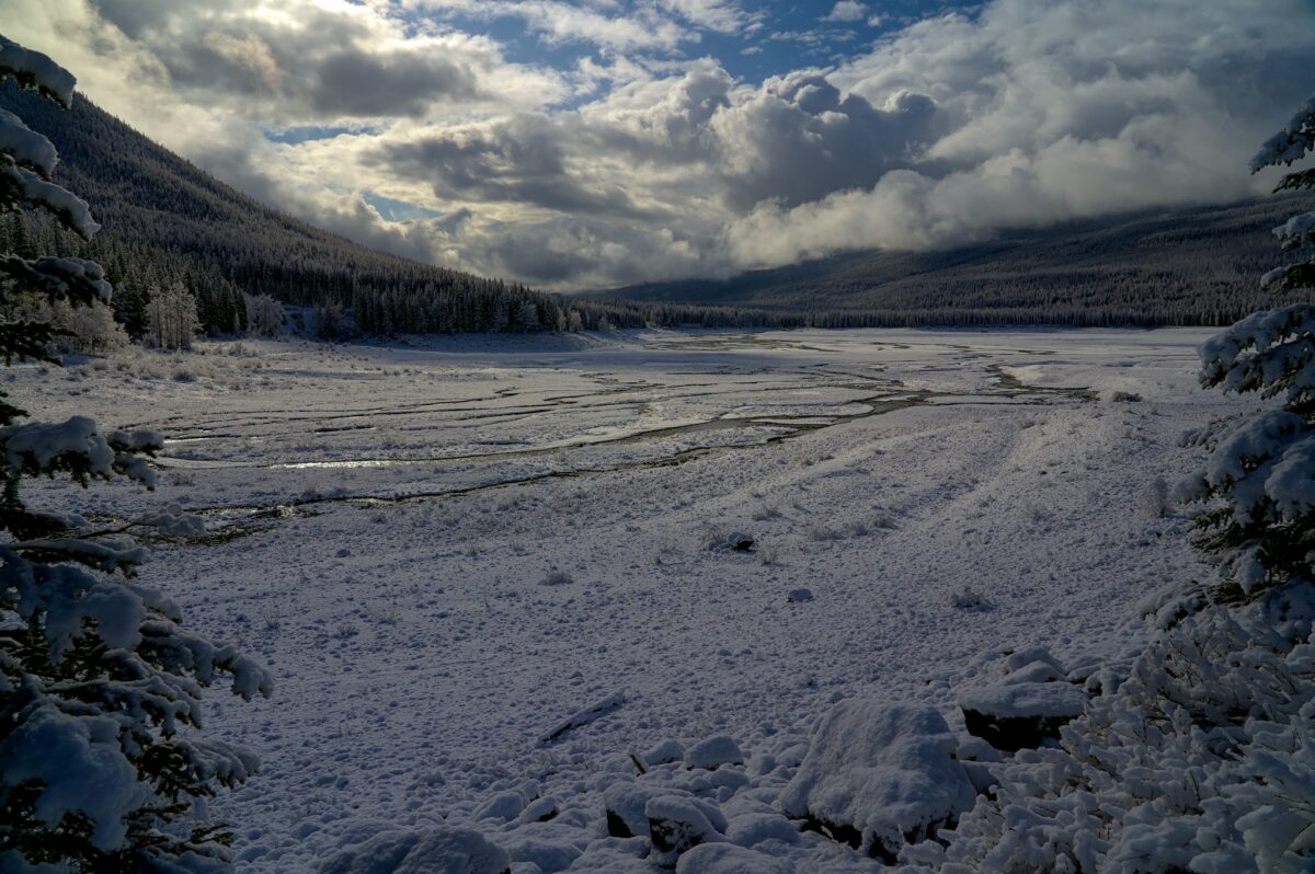 Paysage dans la région des lacs du parc national Jasper