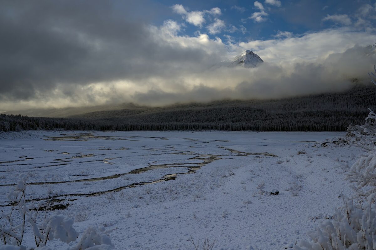 Paysage dans la région des lacs du parc national Jasper